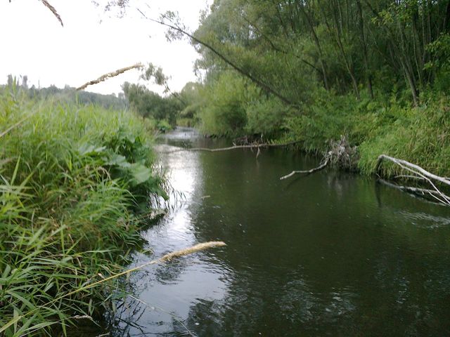 Ptrągowe ostatki-03